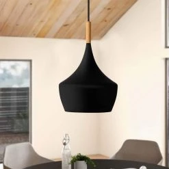 1-Light Metal Black Standard Pendant with Unique Shade by YANSUN -YANSUN Shop black yansun chandeliers h dz006n1 1f 1000