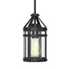 5.91 in.1-Light Black Farmhouse Island Pendant Hanging Light with Glass Shade by YANSUN -YANSUN Shop black yansun chandeliers h dz119 64 1000