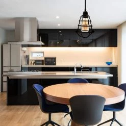 1-Light Aged Black Plug-in Pendant with Metal Cage Shade by YANSUN -YANSUN Shop black yansun pendant lights h hs01e26dp c3 1000