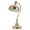 21.65 in. Brass Goose Neck Metal Table Lamp with Turn ON/OFF Switch by YANSUN