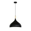 13.39 in.1-Light Teardrop Matte Black Pendant, Vintage Light Loft Fixture by YANSUN -YANSUN Shop matte black yansun chandeliers h dz060n1 64 1000