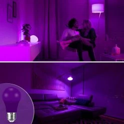 60-Watt Equivalent 9-Watt A19 E26 Base Non-Dimmable Violet LED Colored Light Bulb 9000K (24-Pack) by YANSUN -YANSUN Shop purple yansun colored light bulbs h he004vw9e26 24 fa 1000