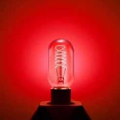 40-Watt Equivalent T45 Red Dimmable E26 Vintage Edison Incandescent-Light Bulb for Halloween Christmas (8-Pack) by YANSUN -YANSUN Shop yansun colored light bulbs h ws001rw40e26r 8 44 1000