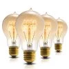 60-Watt A19 E26 Edison Dimmable Incandescent Light Bulb in Warm White 2700K (4-Pack) by YANSUN 2 60-Watt A19 E26 Edison Dimmable Incandescent Light Bulb in Warm White 2700K (4-Pack) by YANSUN -YANSUN Shop yansun edison bulbs h fb04204w4e12 6 64 1000