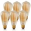 60-Watt Equivalent ST64 Dimmable E26 Vintage Edison Incandescent Light Bulb 2700K (6-Pack) by YANSUN -YANSUN Shop yansun edison bulbs h ws004zw60e26 6 64 1000