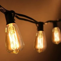 40-Watt ST38 E12 Edison Incandescent Dimmable Light Bulb in Warm White 2700K(6-Pack) by YANSUN -YANSUN Shop yansun edison bulbs h ws044w40e12 6 44 1000