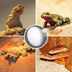 50-Watt White BR80 Dimmable Incandescent 120-Volt Heat Lamp Light Bulb in Warm White 2700K (4-Bulb) by YANSUN 19 50-Watt White BR80 Dimmable Incandescent 120-Volt Heat Lamp Light Bulb in Warm White 2700K (4-Bulb) by YANSUN -YANSUN Shop yansun heat lamp bulbs h brth01w50e26 4 76 1000