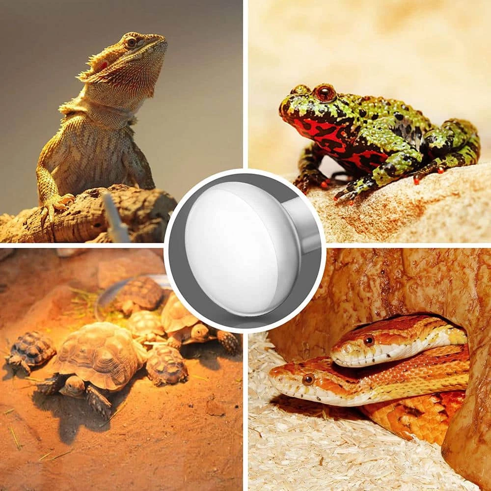 50-Watt White BR80 Dimmable Incandescent 120-Volt Heat Lamp Light Bulb in Warm White 2700K (4-Bulb) by YANSUN 4 50-Watt White BR80 Dimmable Incandescent 120-Volt Heat Lamp Light Bulb in Warm White 2700K (4-Bulb) by YANSUN - Image 2