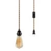 1-Light Vintage Gold Finish Plug-In Hanging Pendant with Hemp Rope and Black Socket (1-Pack) by YANSUN -YANSUN Shop yansun lamp sockets h ms01e26acn1 64 1000